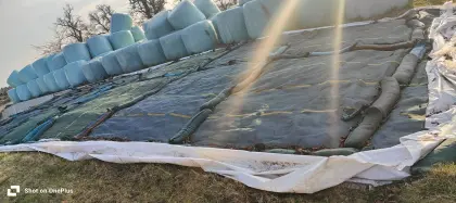 Silage lose vom Fahrsilo