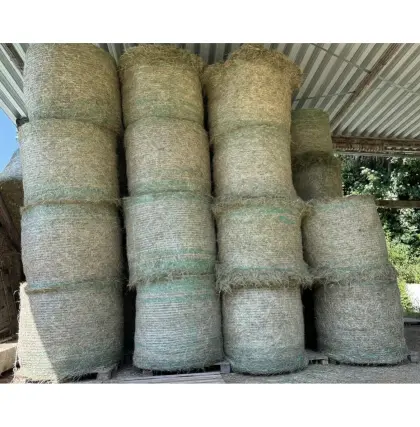 Bioheu in sehr guter Qualität zu verkaufen!