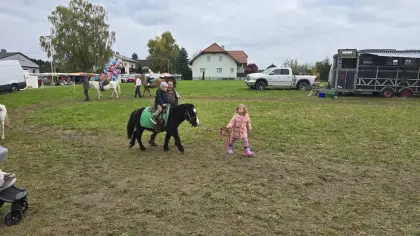 Pony Fritz