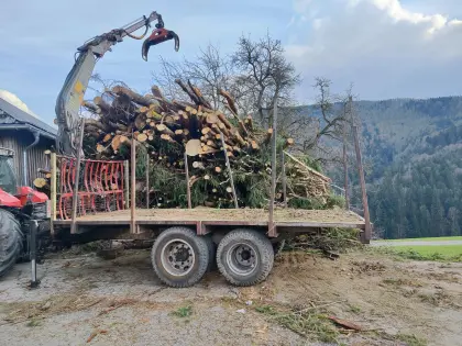 Rückewagen, Holzwagen Eigenbau
