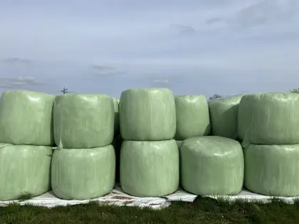 Siloballen 3. Schnitt