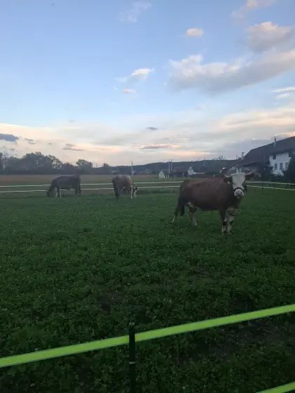 Ich suche Acker und Wiesen im Bezirk Deutschlandsberg