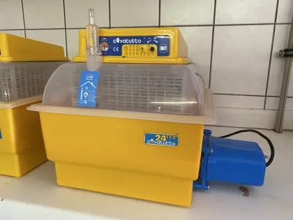 Inkubator/Brutapparat