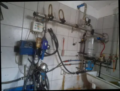 Rohrmelkanlage Alfa Laval