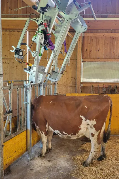 Speed-Fix Klauenpflegestand