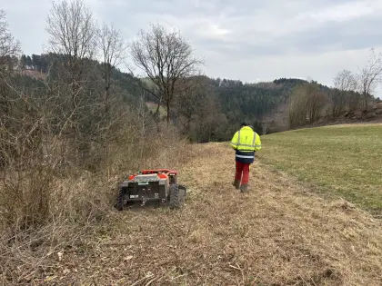 Mulcharbeiten mit Schlegelraupe