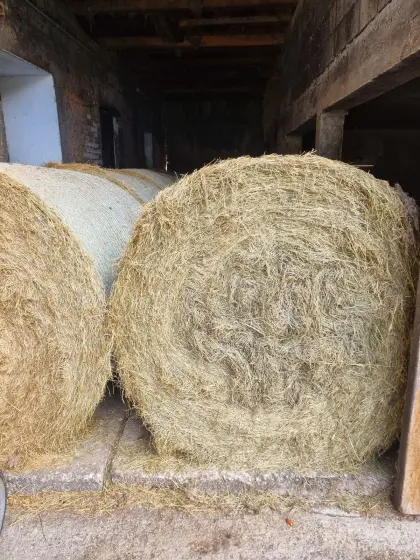 Heuballen Grummet