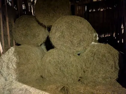 Heu Rundballen 2. Schnitt
