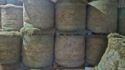 Heurundballen 1,25 m Dm. zu verkaufen