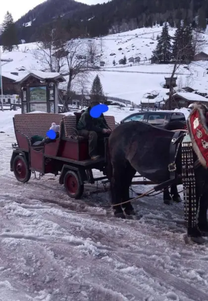 Pferdekutsche/Kutsche