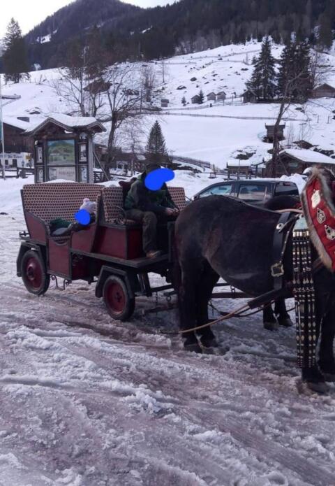 Pferdekutsche/Kutsche
