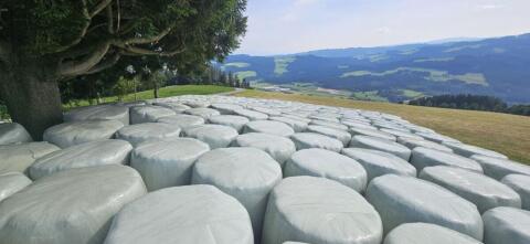Heu und Siloballen