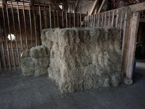 Bio Heuballen klein - 1. Schnitt 06/2025