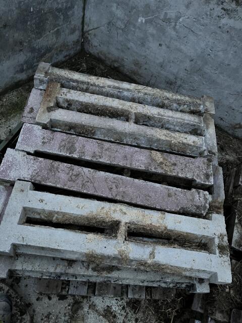 Betonspalten von Anbindestall