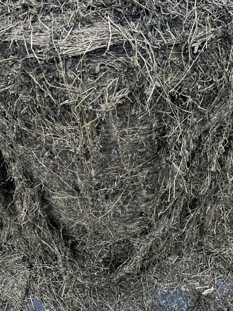 Suche Luzerne ab Feld 2026 oder Luzernesilageballen