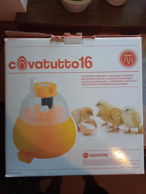 Brutapparat Analog