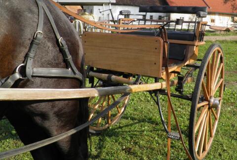 Gig - Holz Pferdekutsche