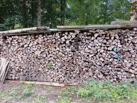 Brennholz Buche