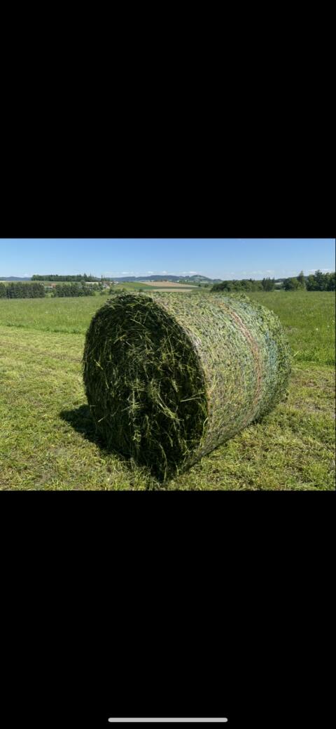 Siloballen