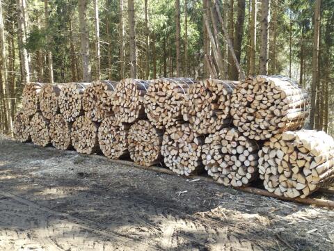 Brennholz
