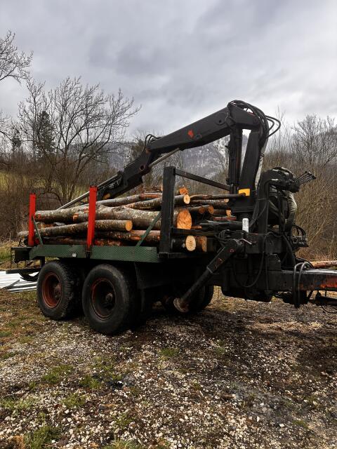 Kranwagen Eigenbau Rückewagen