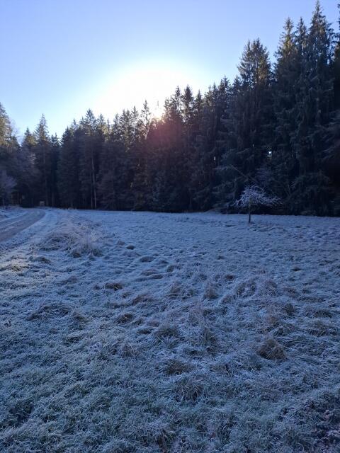 Heurundballen 2. Schnitt