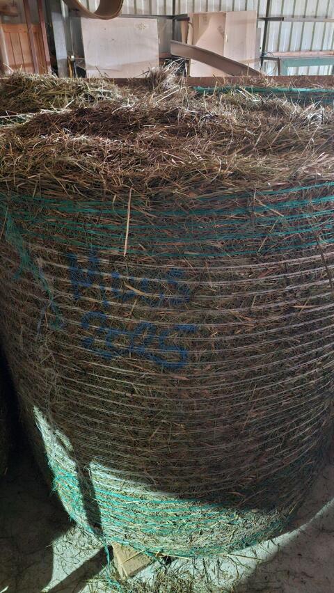 Verkaufe Moostreuballen aus Naturschutzflächen