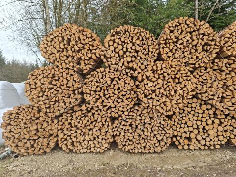 Brennholz