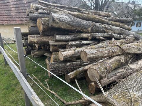 Brennholz