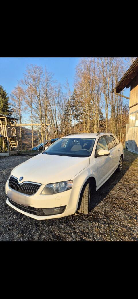 Skoda Octavia 2.0 4x4 150 PS