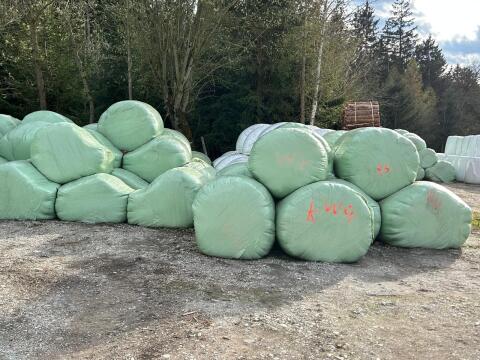 Silageballen