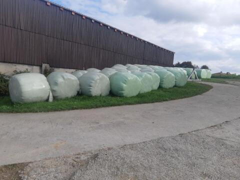 Silageballen