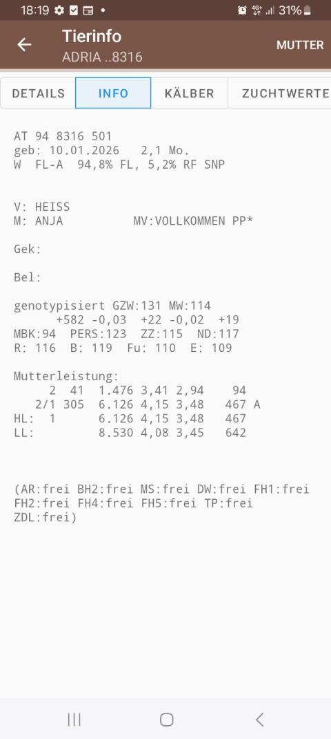 Genotypisiertes BIO FV Kalb