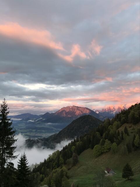 Suche Jungvieh für die Alm