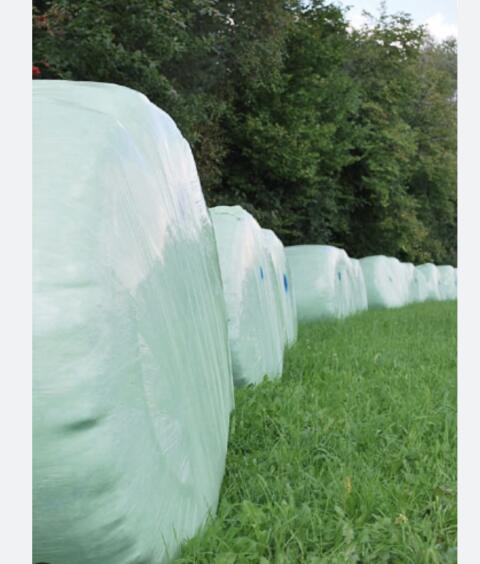 BIO Siloballen