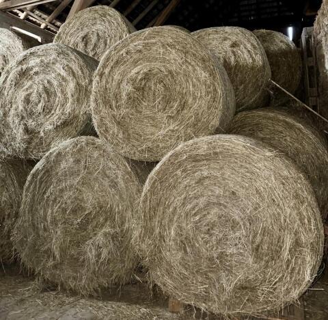 Heuballen Rundballen 1. Schnitt 2025 Bio