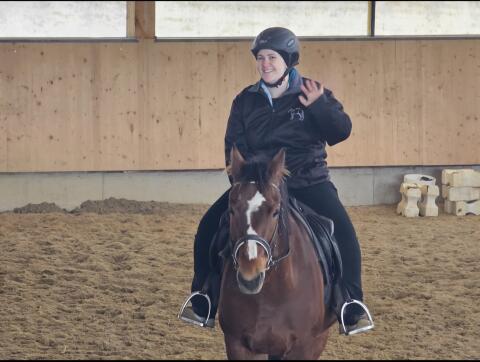Suche älteres Lehr-/Verlasspferd