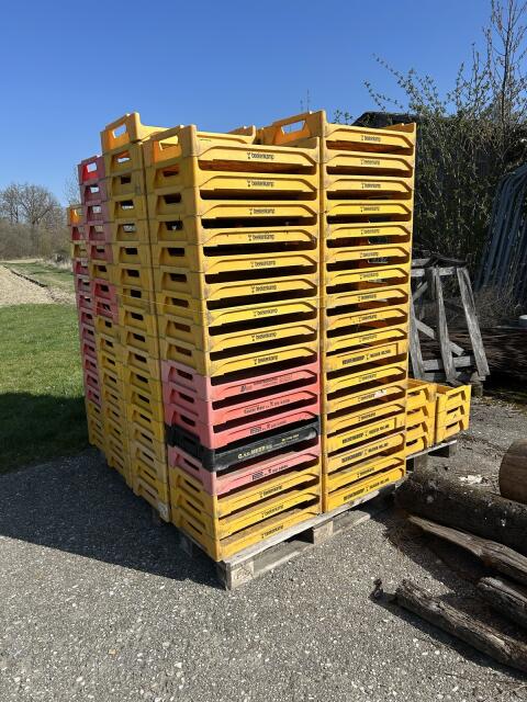 Anzuchtkisten 66x44x12