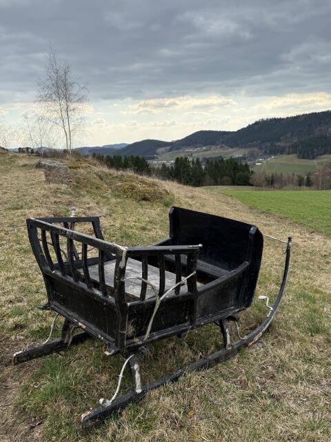Pferdeschlitten