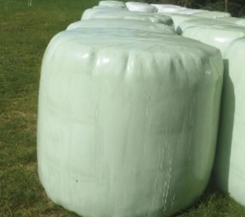 Bio Silomaisballen