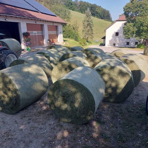 Heuballen zu verkaufen