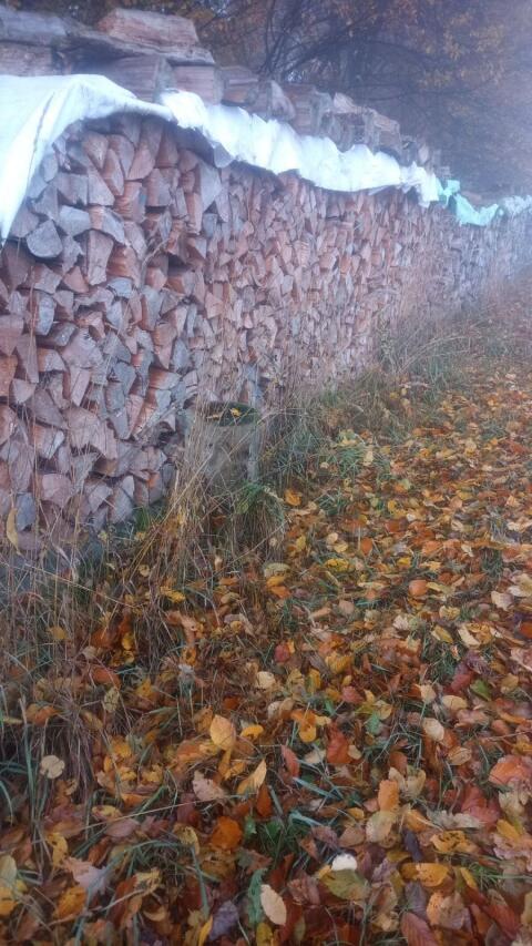Brennholz