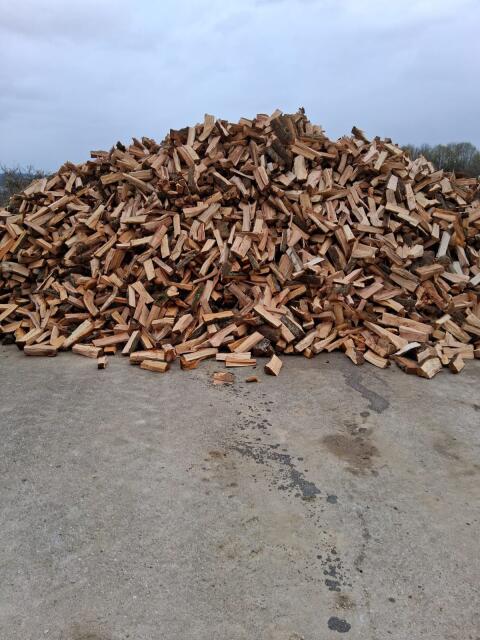 Holz