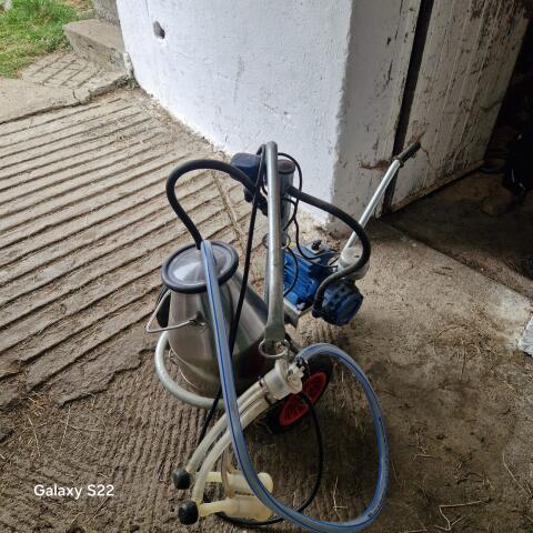 Ziegenmelkmaschine