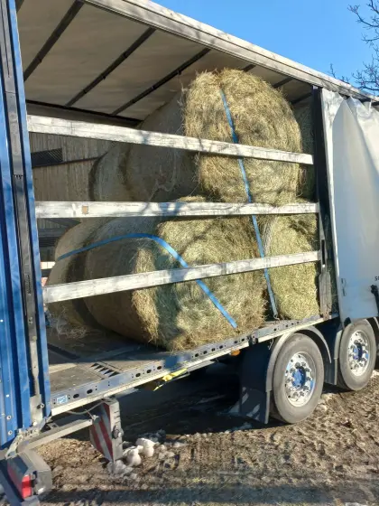 Heurundballen 2. Schnitt