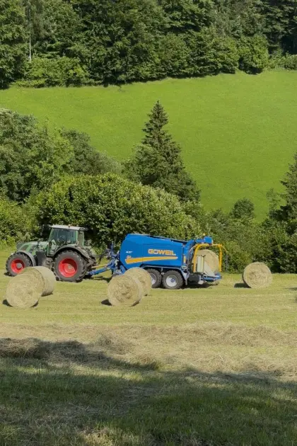 Bio Heu zu verkaufen