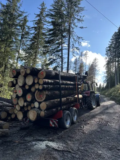 Holzanhänger mit Bigab 6,6Z