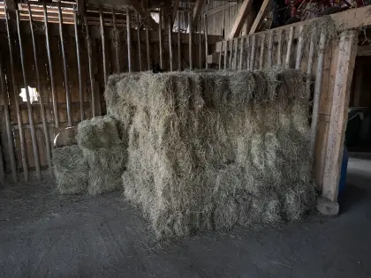 Bio Heuballen klein - 1. Schnitt 06/2025