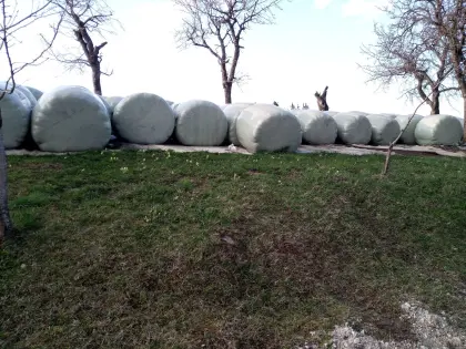 Silageballen