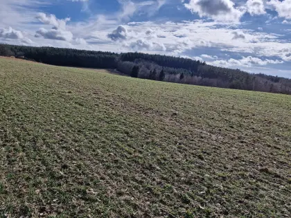 Land- und forstwirtschaftliche Flächen gesucht